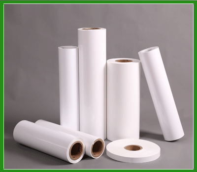 PET白膜